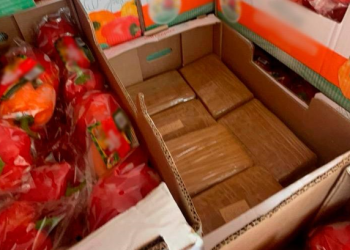 FGR asegura 14 kilogramos de fentanilo transportado en cajas de pimiento