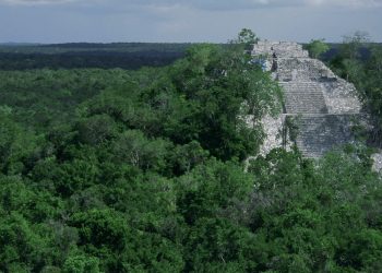 “Presiones provocaron que la propia empresa desistiera de megaproyecto en la Selva Maya”: Samayoa