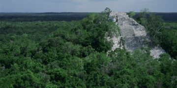 “Presiones provocaron que la propia empresa desistiera de megaproyecto en la Selva Maya”: Samayoa