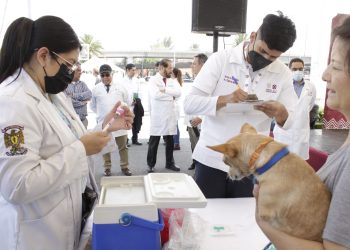 Arranca jornada de reforzamiento de vacunación contra la rabia Canina y Felina