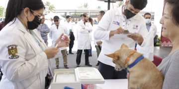 Arranca jornada de reforzamiento de vacunación contra la rabia Canina y Felina