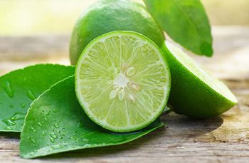 Limoneros de Buenavista vuelven a parar labores en Michoacán