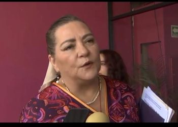 El INE acatará el mandato constitucional de la Reforma Judicial; Taddei