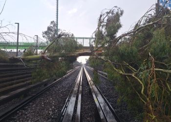Caen dos arboles en la Línea B del Metro