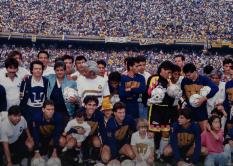 pumas
