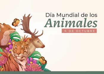 Día Mundial de los Animales