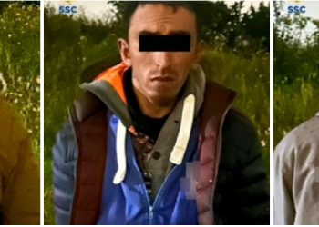 Detienen a 3 integrantes de banda dedicada al robo de vehículos en la CDMX: SSC 