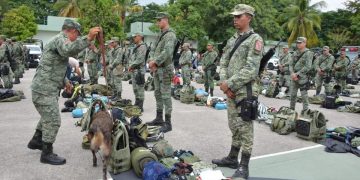 Llegan 200 elementos del Ejército Mexicano a la Tierra Caliente