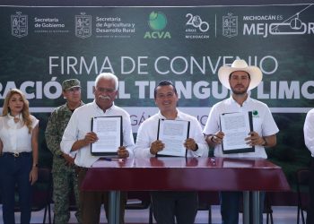 Para evitar extorsiones, gobierno de Michoacán operará tianguis limonero