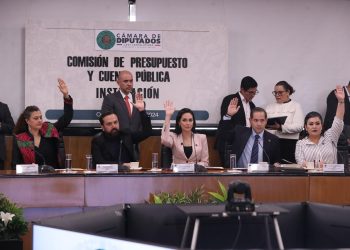Comisión de Presupuesto citará a INE para ver costos de la elección judicial: Marilyn Gómez Pozos