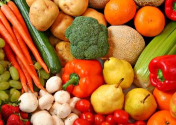 Organizaciones presentan propuestas para garantizar salud alimentaria en México