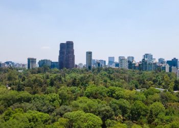 “Vamos a agotar todos los instrumentos jurídicos para defender las áreas verdes”: Morena CDMX