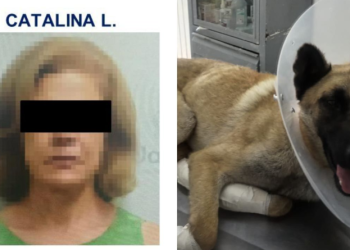 Queda libre la mujer que arrastró a un perro con su auto en Tlaquepaque