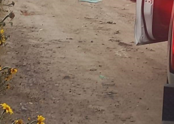 Jueves sangriento en Veracruz y Edomex