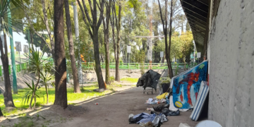 Piden la intervención de la jefa de gobierno para el retiro de indigentes violentos