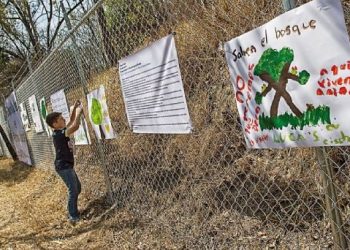 “Falso que aceptemos cambiar el uso de suelo en el Bosque de Chapultepec”: PAN