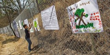 “Falso que aceptemos cambiar el uso de suelo en el Bosque de Chapultepec”: PAN