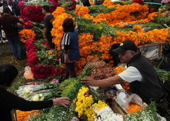 Profeco implementará programa de vigilancia por festividades del Día de Muertos
