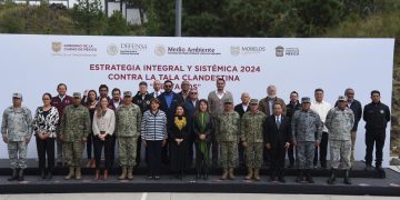CDMX, EdoMex y Morelos se unen contra la tala clandestina