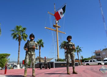 Evitan ingreso de más de 4 toneladas de mariguana al puerto de Veracruz
