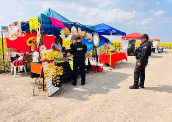 Policías vigilan gigantesco campo de girasoles en Tamaulipas 