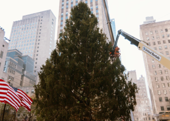 El árbol de Navidad del Rockefeller Center llega a Nueva York