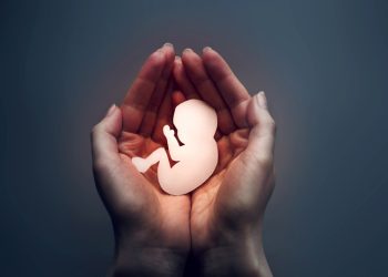 “Eliminar concepto de aborto dejaría a la capital sin ley penal que lo restrinja”: especialista