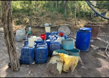 Fuerzas federales detectan y destruyen laboratorio clandestino y plantío de marihuana