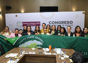 “Ha sido un gran paso despenalizar el aborto en el Edomex, pero falta aprobar la interrupción legal”: Diputada