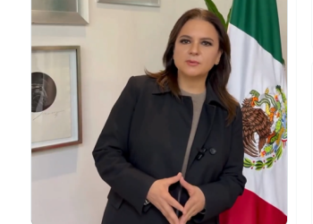 Comisionada del INAI llama a aportar a la libertad de los mexicanos, previo a discusión sobre órganos autónomos