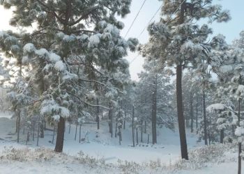 Frente Frío 7 podría generar posible caída de aguanieve o nieve en Sonora y Chihuahua