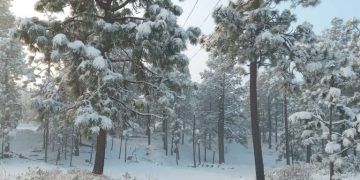 Frente Frío 7 podría generar posible caída de aguanieve o nieve en Sonora y Chihuahua