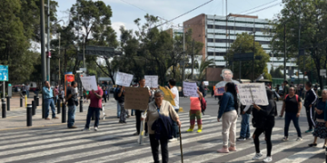 Alcaldía Benito Juárez aclara presunta privatización del Parque de los Venados