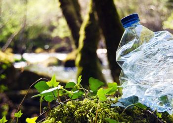 WWF presenta un listado de los 10 peores plásticos para el medioambiente en México