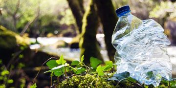 WWF presenta un listado de los 10 peores plásticos para el medioambiente en México