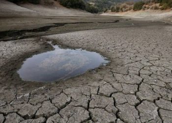 “Chihuahua tiene una situación muy complicada por la sequía por lo que se ha declarado emergencia”: Vázquez