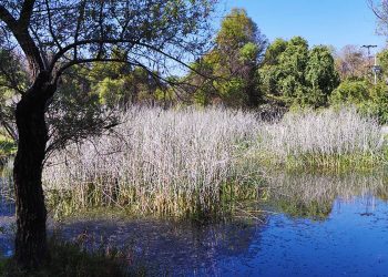 Van por rescate y preservación del Área Natural Protegida “El Texcal”