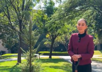 “Será un buen 2025, porque hay unidad”, dice Sheinbaum en mensaje de año nuevo