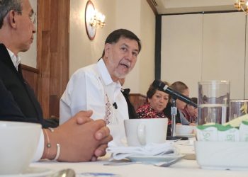 Diferendo de coordinadores de Morena en el Congreso está superado, no habrá división interna: Fernández Noroña