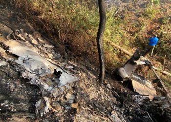 Desplome de avioneta en Jalisco deja siete muertos