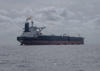Putin califica de “desastre ecológico” vertido de crudo en mar Negro