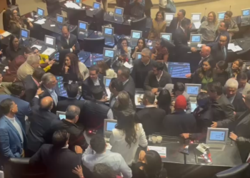 VIDEO: Senadores de Morena y el PAN llegan a los golpes y amenazas de muerte