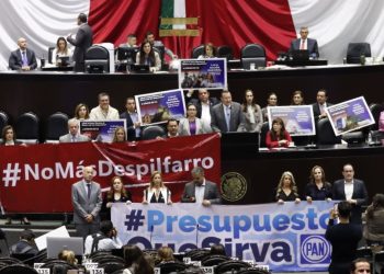 “Presupuesto 2025 no genera sostenibilidad en las finanzas públicas”: México Evalúa