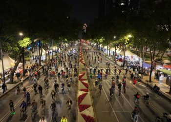 51 mil personas asistieron al último Paseo Nocturno de 2024