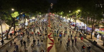 51 mil personas asistieron al último Paseo Nocturno de 2024