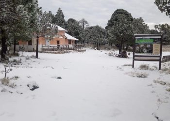 Registra Veracruz primera nevada de la temporada en el Cofre de Perote