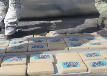 Decomisan 323 kilos de cocaína en Celaya
