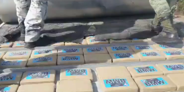 Decomisan 323 kilos de cocaína en Celaya