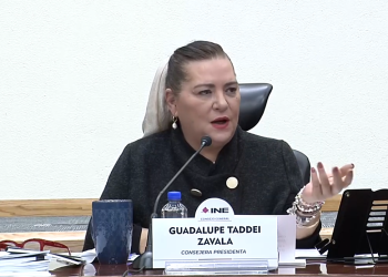 El colmo del absurdo pretender sancionar a funcionarios de casillas; Taddei