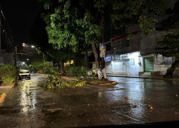 Lluvia torrencial en Guerrero dejó afectaciones el fin de semana